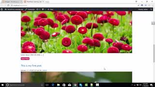 WordPress Theme Development (Widgets Register) Part 6