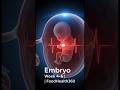 Embryo Development Week 4–6 in 3D | Early Growth Explained #shorts
