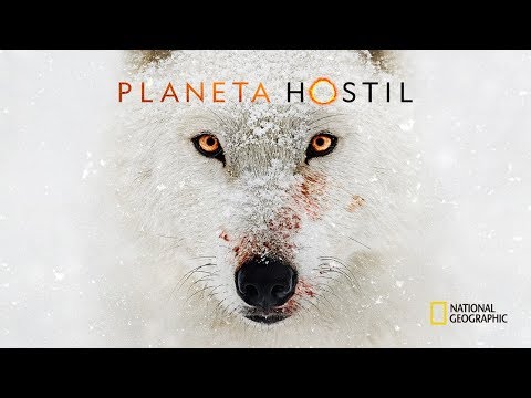 YouTube video 95BYfqaWcus thumbnail