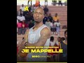JE MAPPELLE SHERRIE SILVER FOUNDATION JE MAPPELLE SHERRIE SILVER FOUNDATION