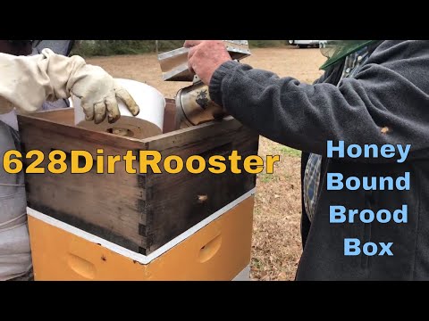 Beekeeping With Blurry Face and The Old Man  -  Spring Hive Box Inspections