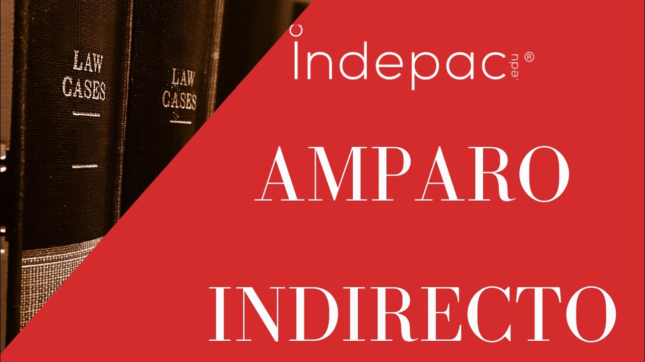 2. Amparo Indirecto/ "Generalidades del Juicio de Amparo Indirecto ...