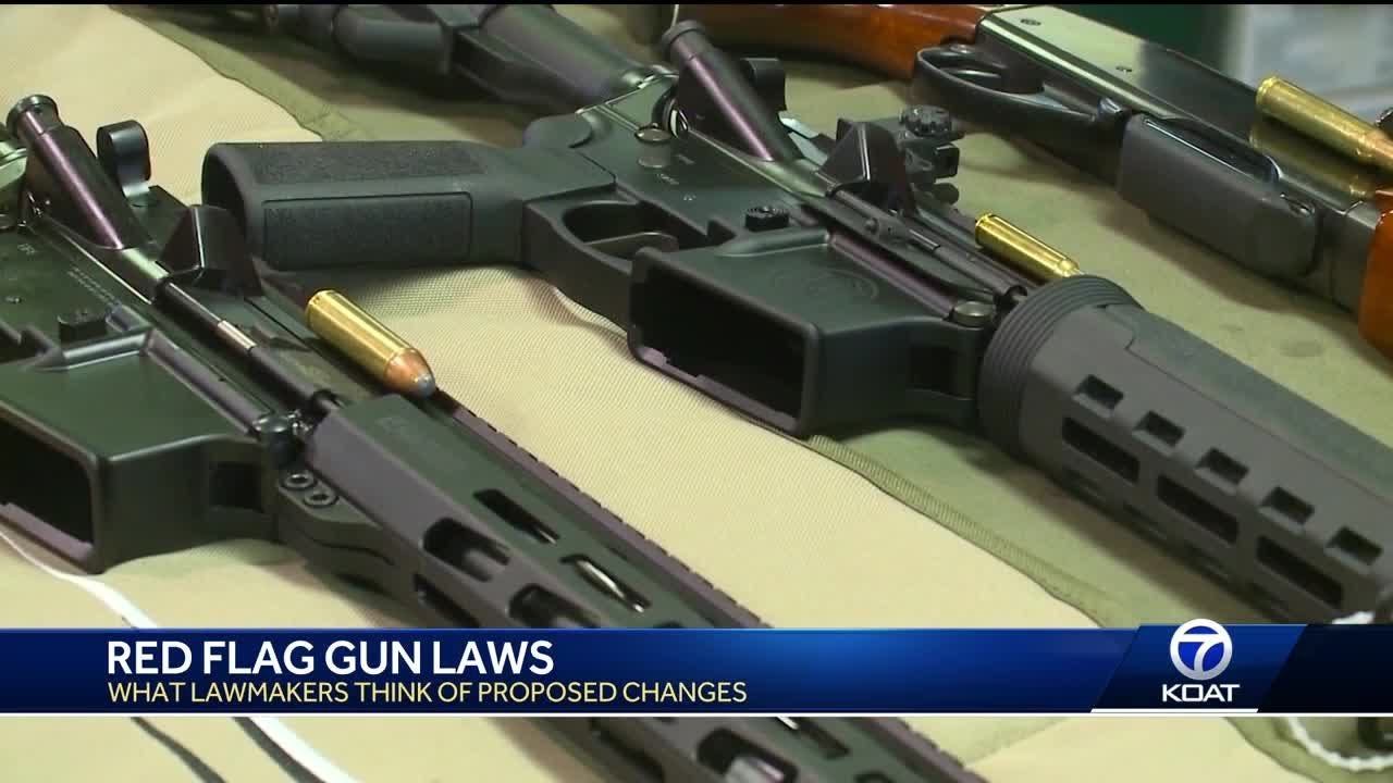 Changes could be made to New Mexico red flag gun laws - YouTube
