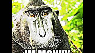 Ok So Basically... Im Monky