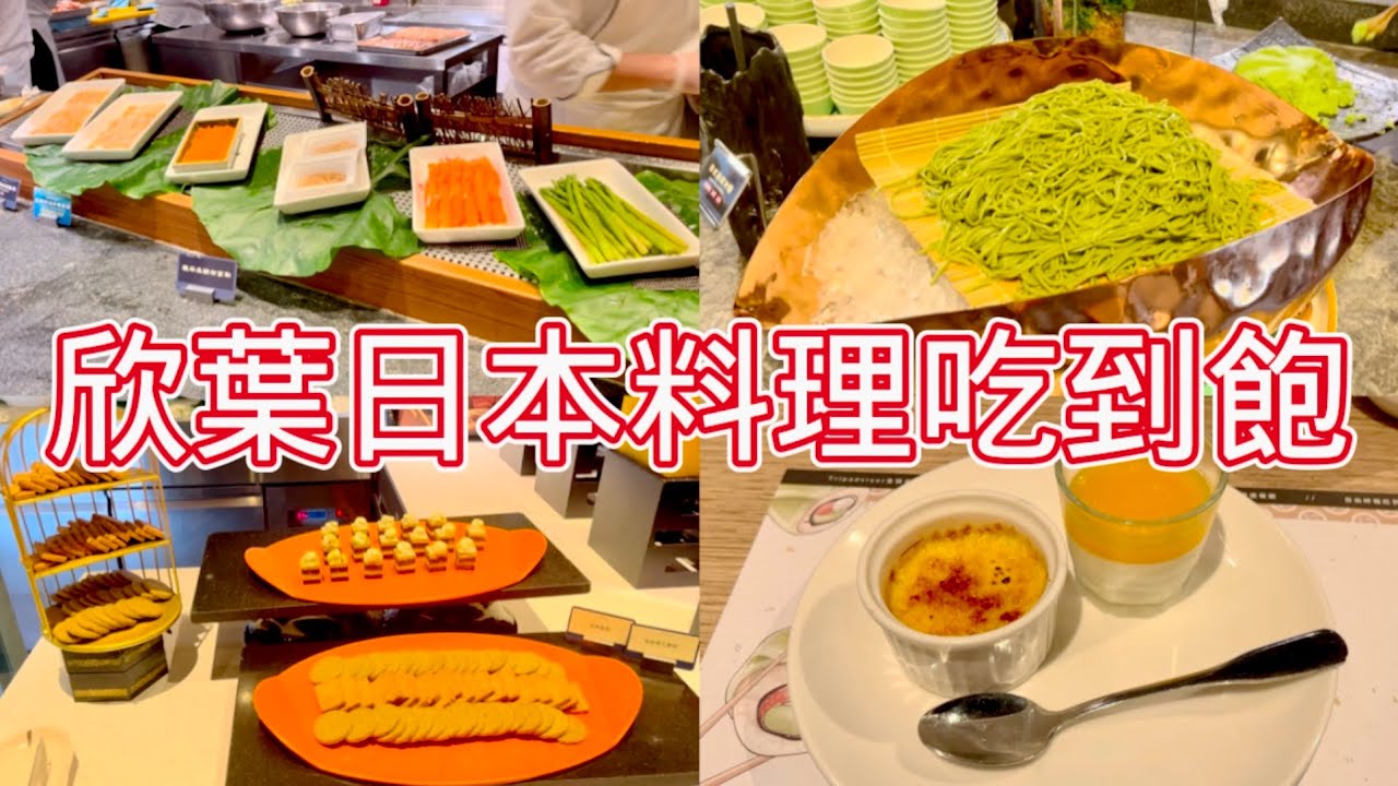 【bob 吃好料-01】bob 第一次來欣葉日本料理館前店吃好料啦！平日下午餐698元吃到飽菜色大公開🤩 頻道週更計畫進行中！