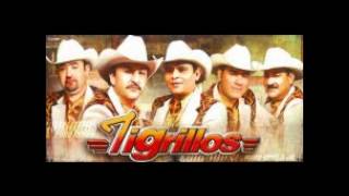 Video thumbnail of "Los Tigrillos-Vampiresa"
