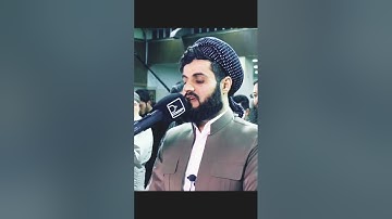 شيخ رعد محمد الكردي اجمل حالات واتس اب دينية سورة النساء يريد الله..🌿🖤