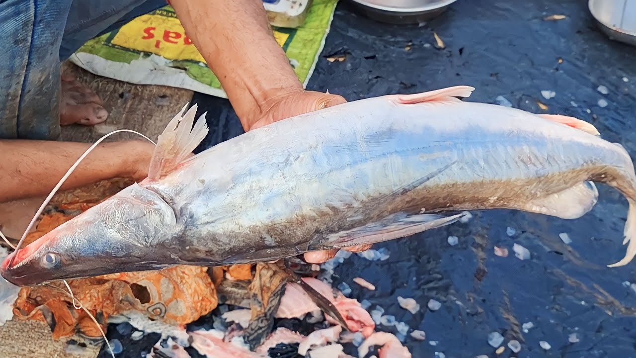 Singhara Fish Keral Fish Cutting (The Amazin Fisher) - YouTube