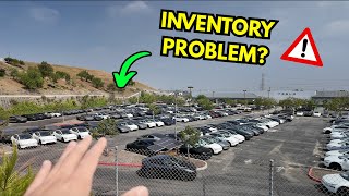 Sports Performance I Went To Find The Tesla Inventory Problem