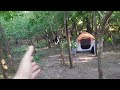 8 июня 2024 г.
