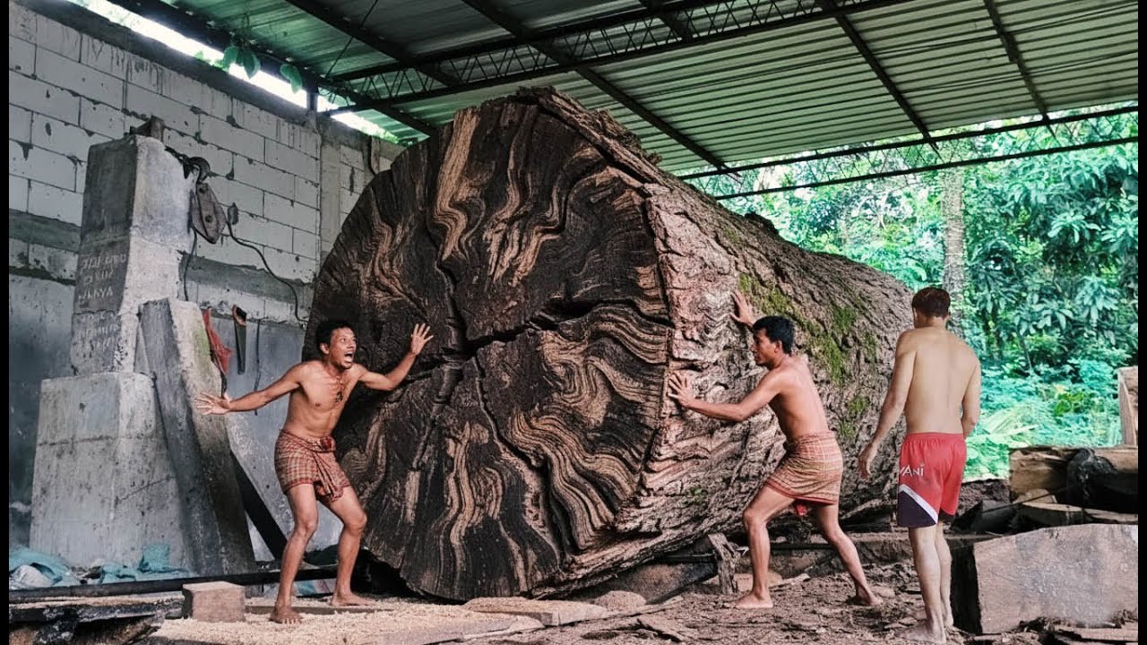 LARGE TIMBER SAWING PROCESS‼️see how trembesi wood is split into luxury tables
