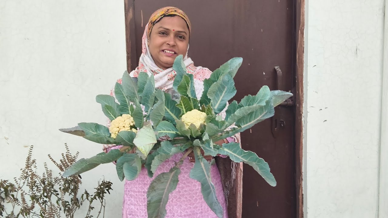 Makar sankranti ki bahut bahut subh kamnaye 