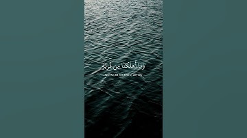 ﴿رُبَما يَوَدُّ الَّذينَ كَفَروا لَو كانوا مُسلِمين...﴾[الحجر: ٢-٥]   القارئ هزاع البلوشي