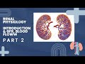 Renal Physiology Part 2