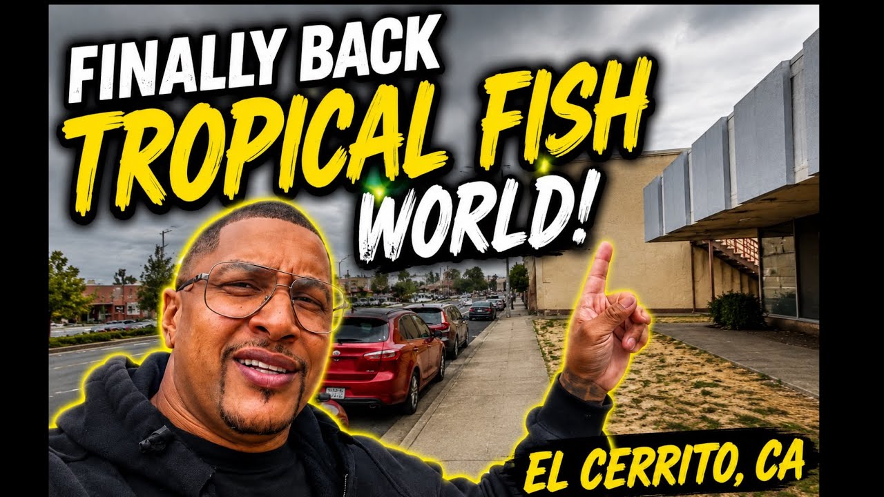I FINALLY MADE IT BACK! 🐠🔥 | Tropical Fish World – El Cerrito, CA Fish Store Tour!