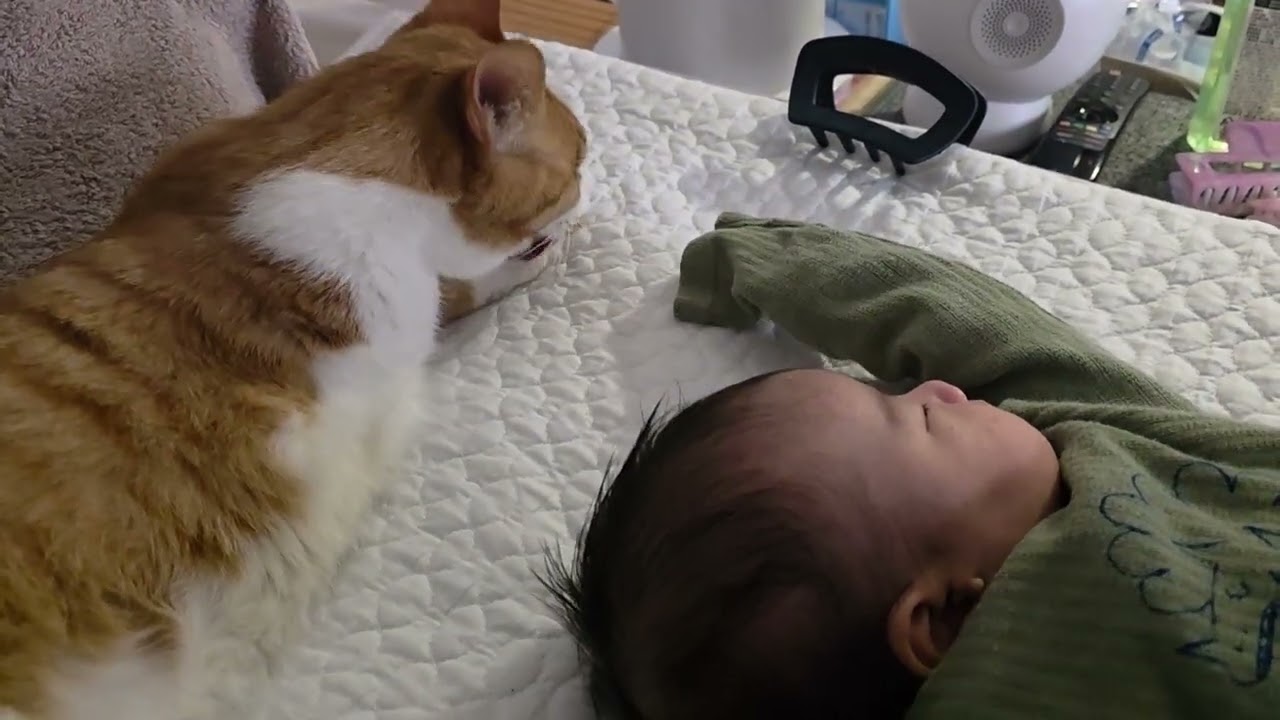 나도 해줘. 질투나 