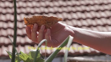 Trailer - Searching4Opportunities