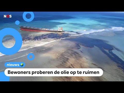 Video: Hoeveel vogels sterven bij olierampen?