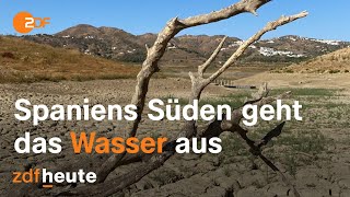 Nur noch elf Prozent Wasser in Málagas wichtigstem See I auslandsjournal