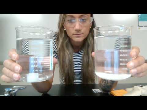 Solubility: Sugar Cube vs Sugar Packet