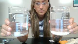 Solubility: Sugar Cube vs Sugar Packet