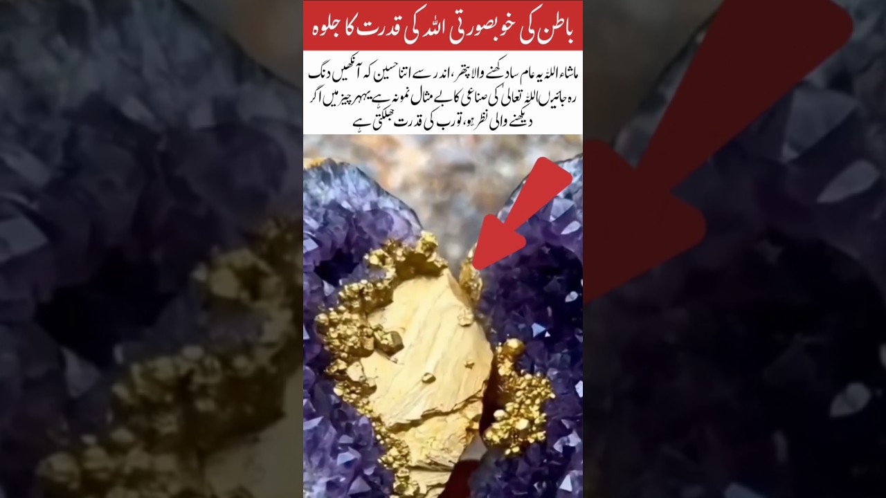 Hidden Beauty of the Stone  A Glimpse of Allah’s Power