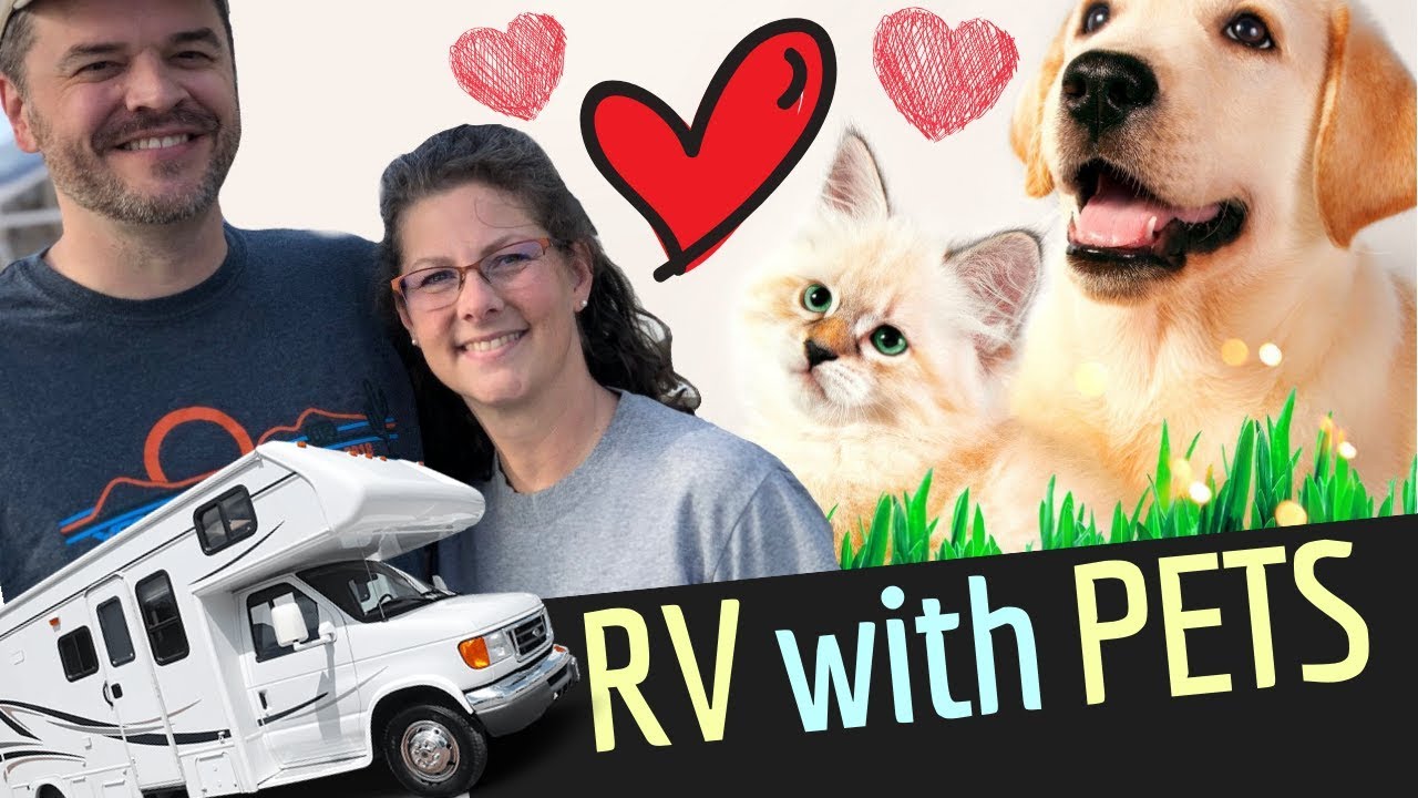 RV LIVING RVing with Pets YouTube
