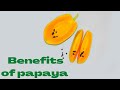10 lines on papaya _ short essay on papaya