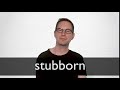 STUBBORN definition in American English