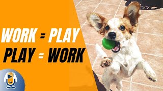 Dog Training: When Work Is Play And Play Is Work #108