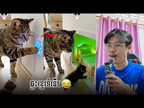 ខ្មេវអភិជន🤣 | SixTy Reacts