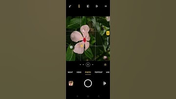 Easy mobile photography of flower🌸