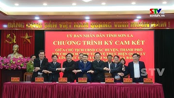 Tăng cường quản lý tài nguyên và bảo vệ môi trường