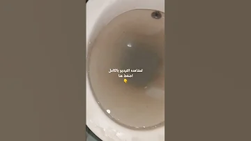 بطريقه سحريه ازاي تسلك اي قاعده افرنجي او بيبه الحمام 