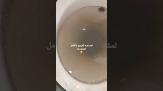 بطريقه سحريه ازاي تسلك اي قاعده افرنجي او بيبه الحمام