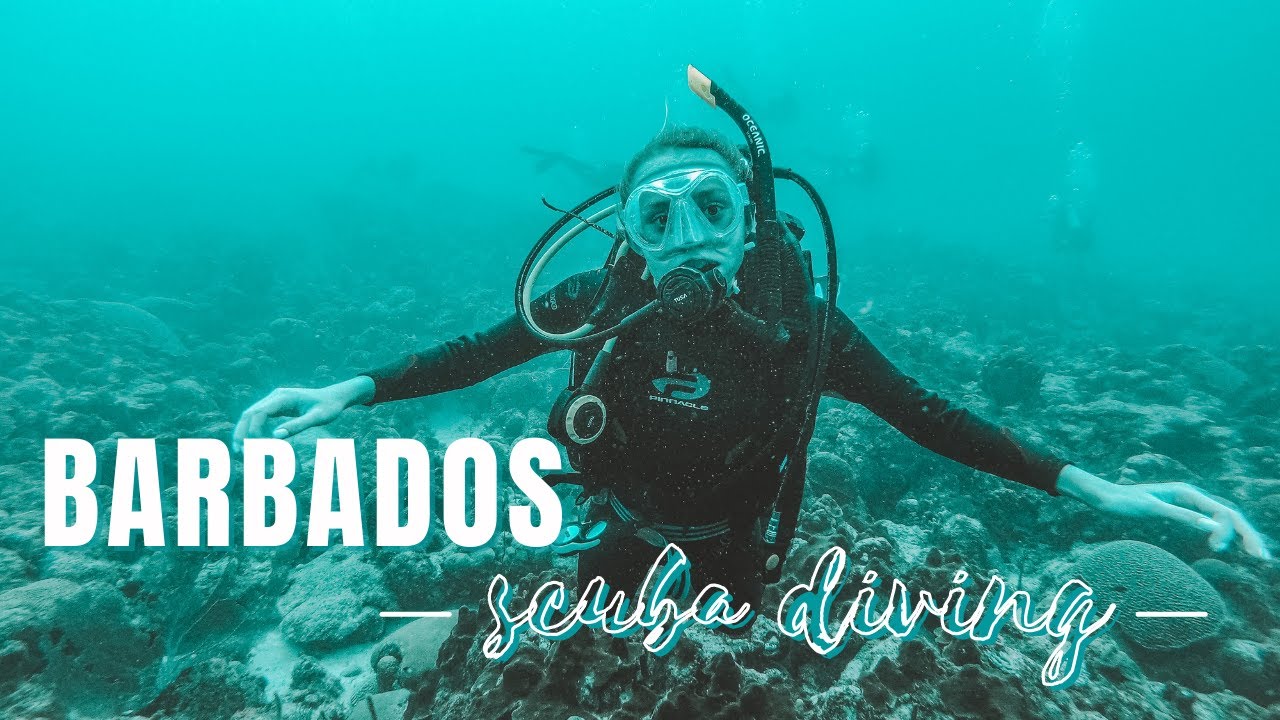 Scuba Diving in BARBADOS | Montage | Catching LIONFISH