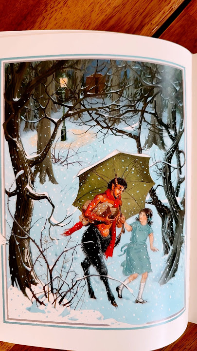 A Special Narnia book illustrated by Pauline Baynes #narnia #books #illustration