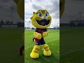 Mood 🐱😂 #fcbarcelona #football #cat #shorts