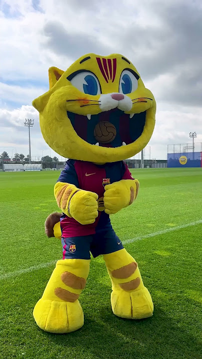 Mood 🐱😂 #fcbarcelona #football #cat #shorts