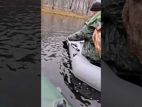 Рыбалка на кружки осенняя щучка #спиннинг #доброеутро #осень #озеро #рыбалка #кружки