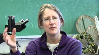 Science And Social Media - Citizen Science Bee Curious