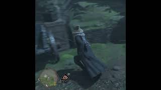 Celebrity Hogwarts Legacy - Fight Mongrel Net Worth