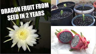 From Seed to Dragon Fruit in 2 YEARS!!