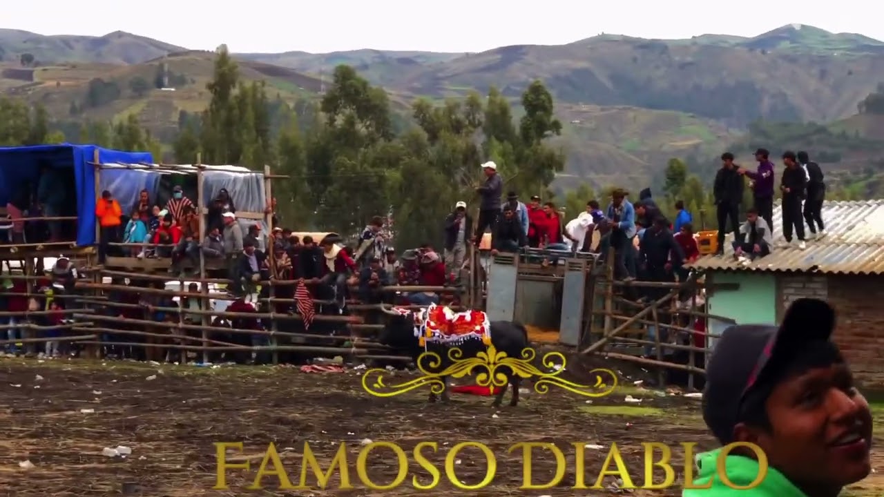 Toros del pueblo 2025 (Santa Ana de Guamote)