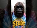 Bigfoot jokes