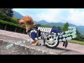 犬 車椅子 動画 【解説付き】