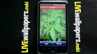 Marijuana screenshot 5