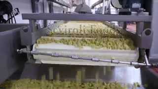 Seviroli Plant Operations