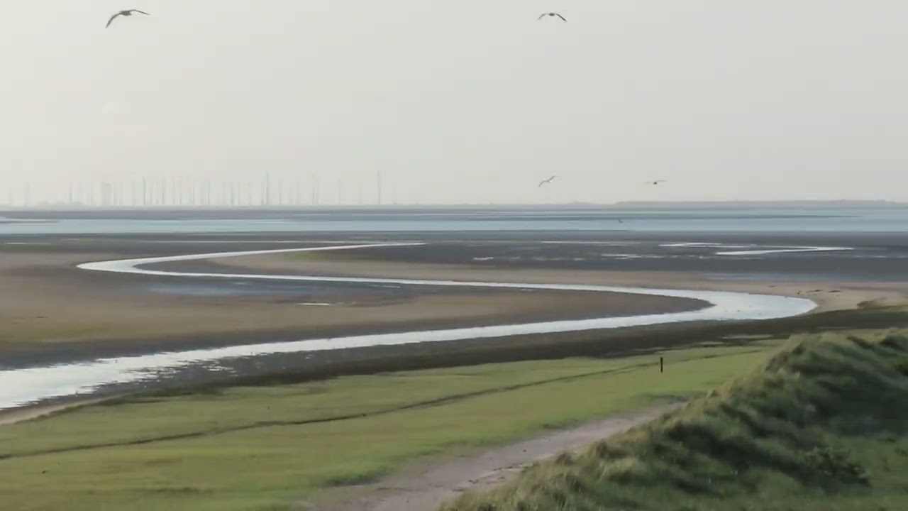 Rottumerplaat, GR, the Netherlands, 4 June 2023 (1/3)