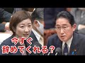 大石あきこvs 口だけの岸田総理